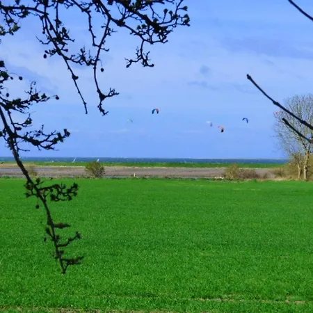 Schwalbennest *